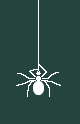 spider2.png